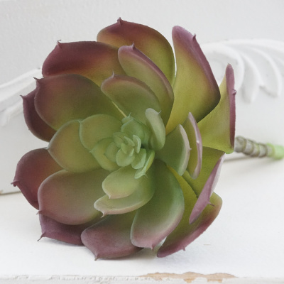 Succulente Echerveria 15cm Pflanze künstlich, rosa-grün mit Stiel für Schalen und Gestecke VE 1 Stk