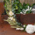 Trockenblumenmix Blumenbund Mix, mit Eukalyptus, VE 1 Bund L 20 - 30 cm