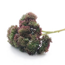 Sedum, Sukkulente Pflanze künstlich, grün-rötlich, haltbare Blumen